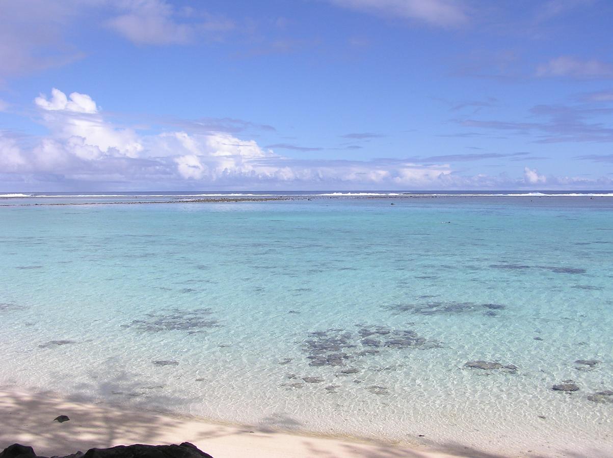 Aroa Kainga Bungalows And Apartment Rarotonga Eksteriør bilde