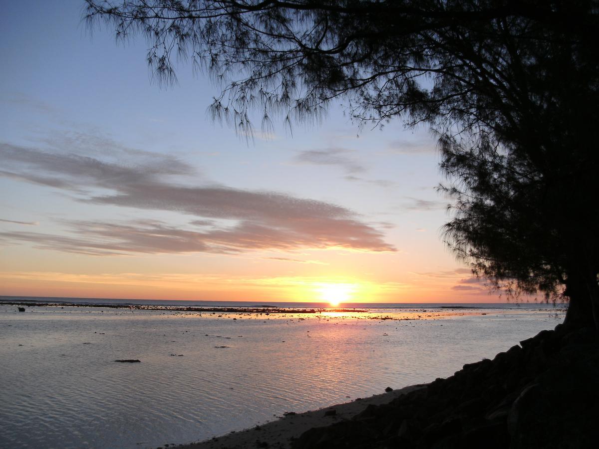 Aroa Kainga Bungalows And Apartment Rarotonga Eksteriør bilde