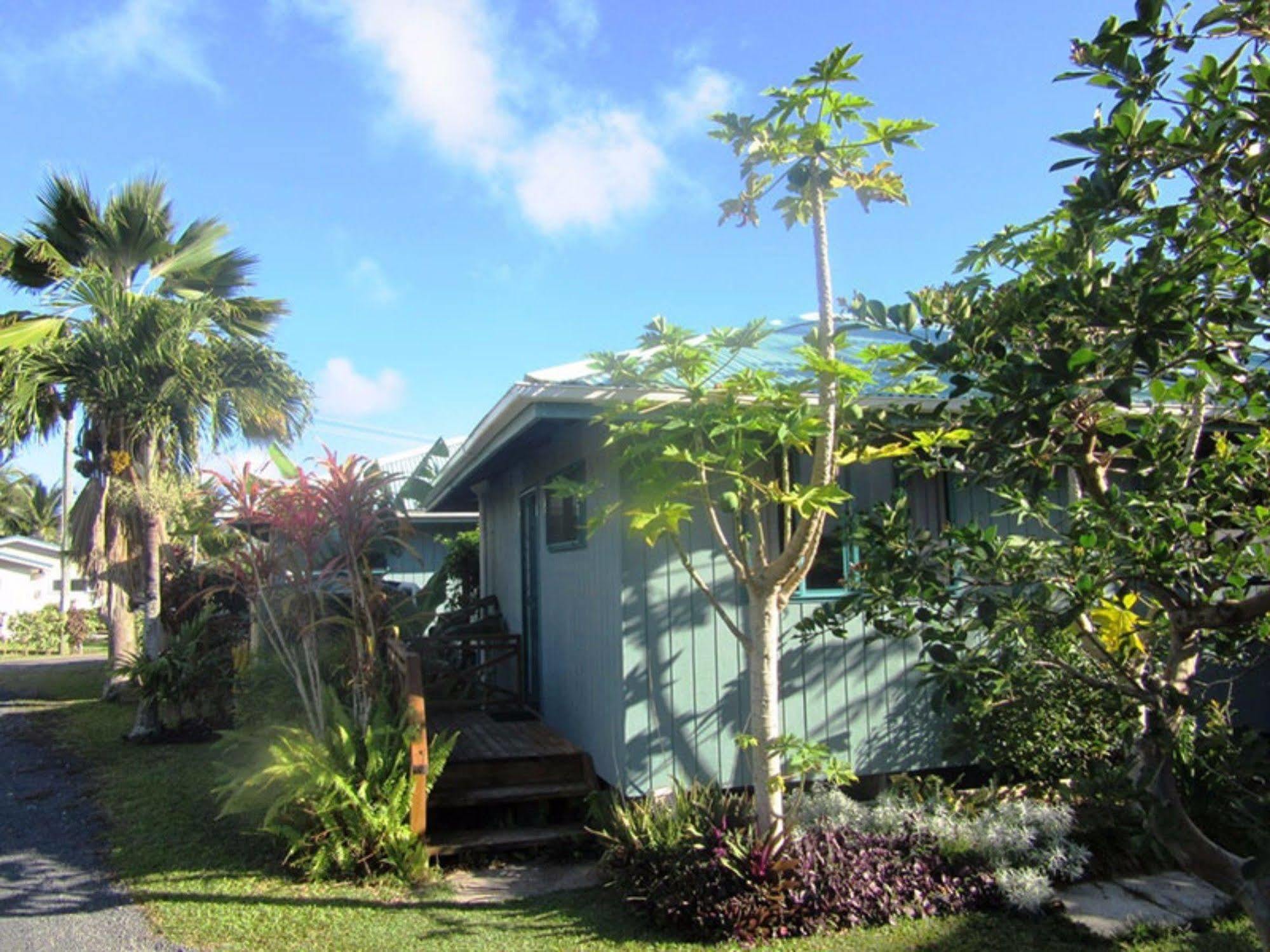 Aroa Kainga Bungalows And Apartment Rarotonga Eksteriør bilde